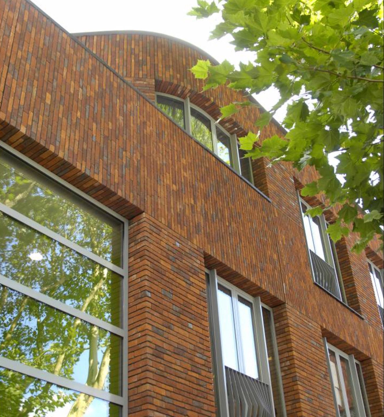 Brede school vogelensangh