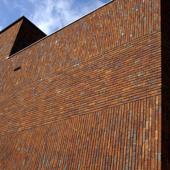 Brede school vogelensangh